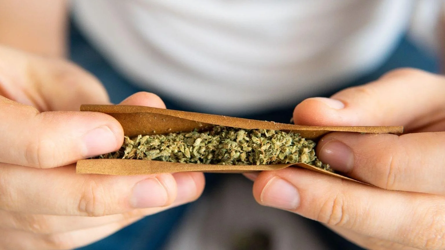 How to Roll a Perfect Blunt [Step-by-Step Guide] - 420 Science